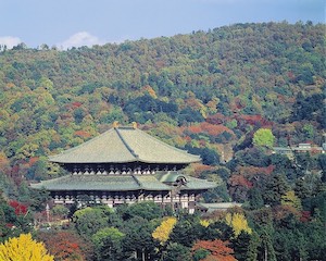 Toudaiji Temple 3